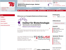 Tablet Screenshot of medbt.tu-berlin.de